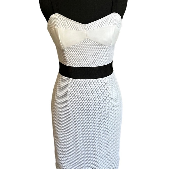 Milly Black & White Bustier Dress with Mess Overlay Size 4 - Picture 17 of 17